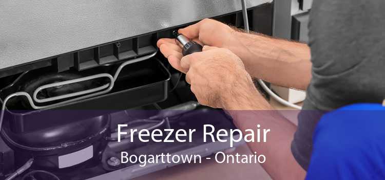 Freezer Repair Bogarttown - Ontario