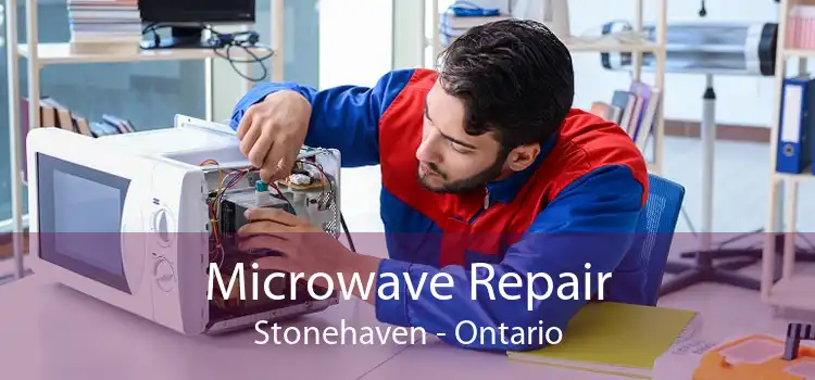 Microwave Repair Stonehaven - Ontario