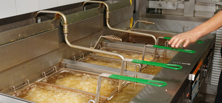 Tappan Commercial Fryer Repair in Newmarket
