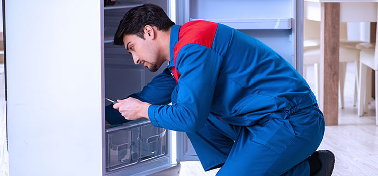 Signature Freezer Repair Services in Newmarket